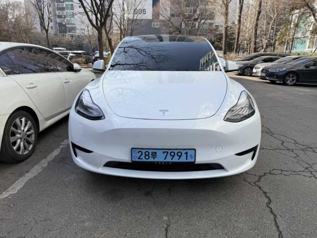 테슬라 모델 Y RWD 기본형